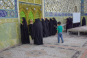 آیین غبارروبی نمادین بارگاه ملکوتی حضرت معصومه سلام الله علیها برگزار شد