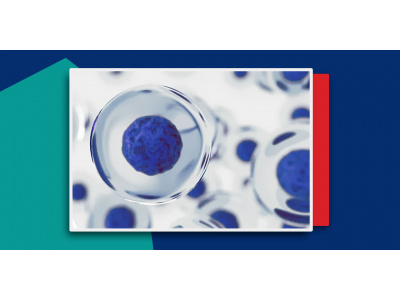 بانک سلولی گروه پژوهشی سلول‌های بنیادی مزانشیمی جهاد دانشگاهی واحد استان قم