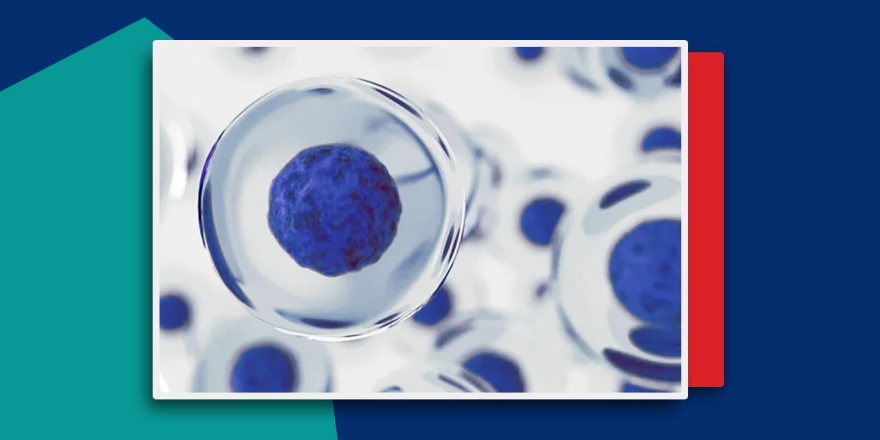 بانک سلولی گروه پژوهشی سلول‌های بنیادی مزانشیمی جهاد دانشگاهی واحد استان قم